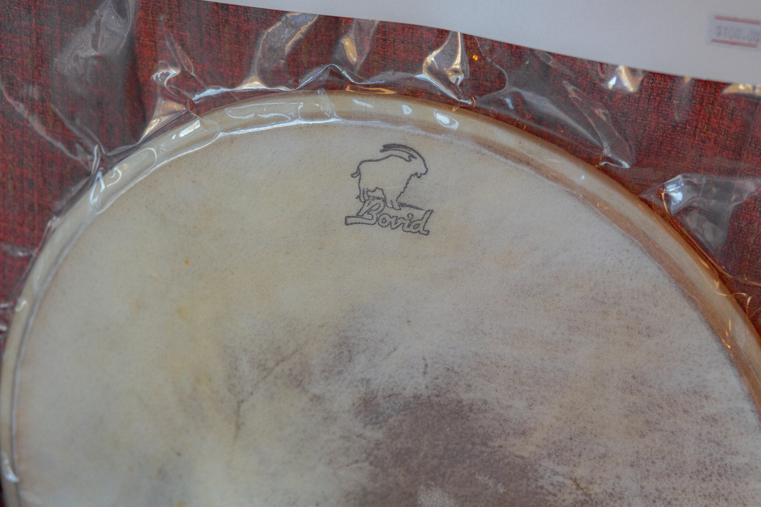 Bovid Skin Drum Heads